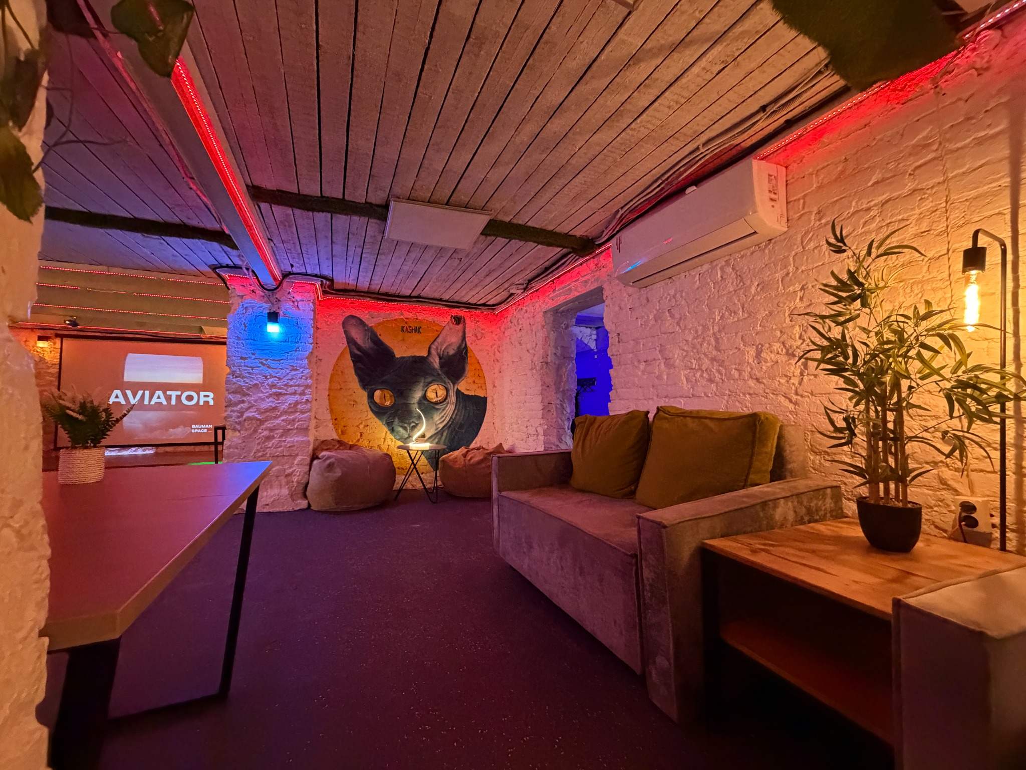 Фотография 15 площадки Неоновый лофт с зоной барбекю, 5 минут от Бауманской