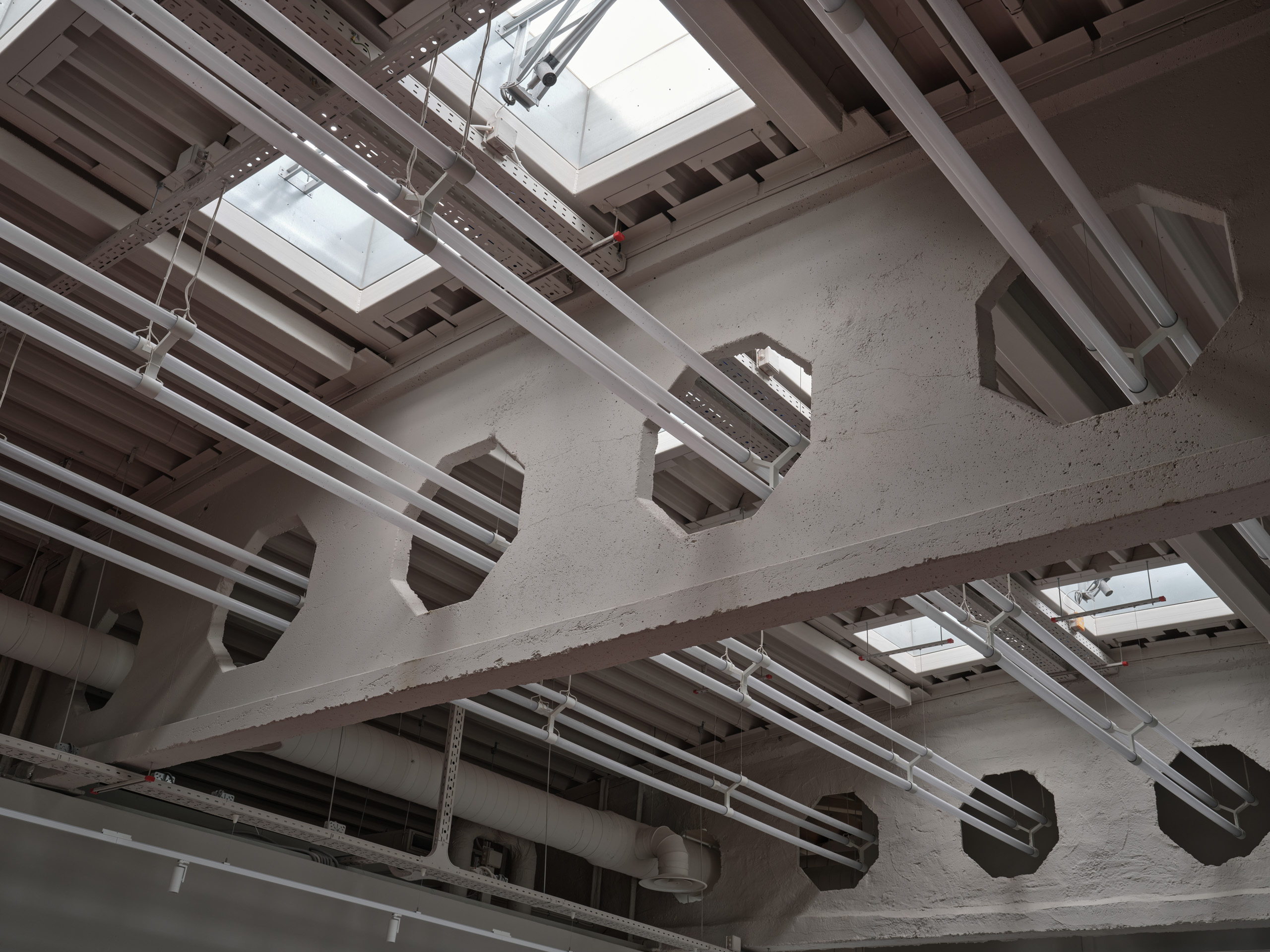 Фотография 23 площадки Инженерный Амфитеатр ДКС